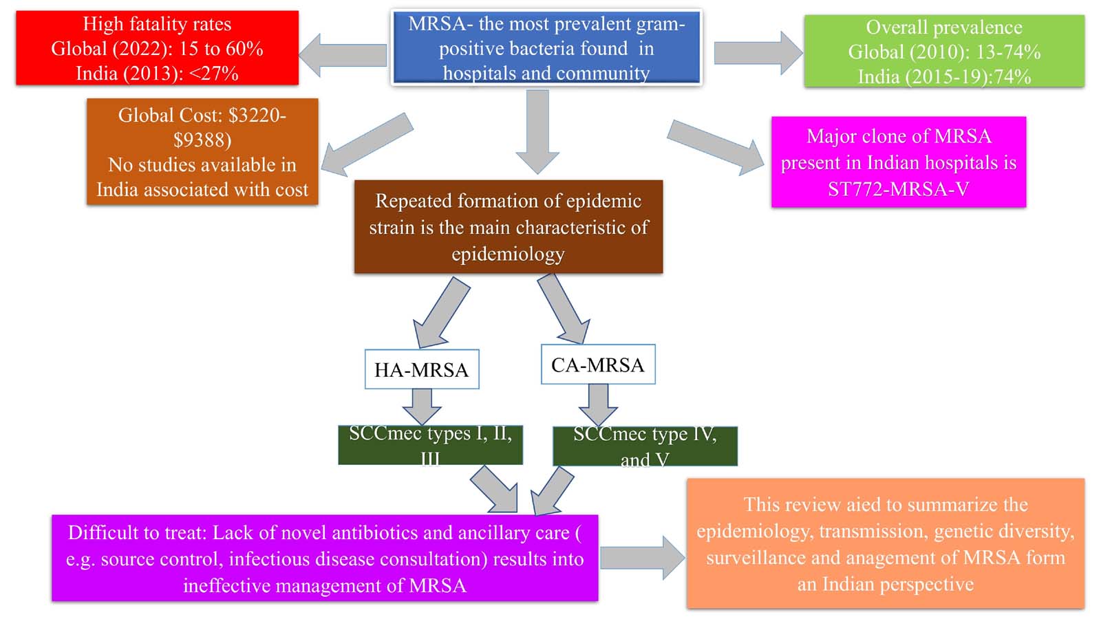Graphical Abstract